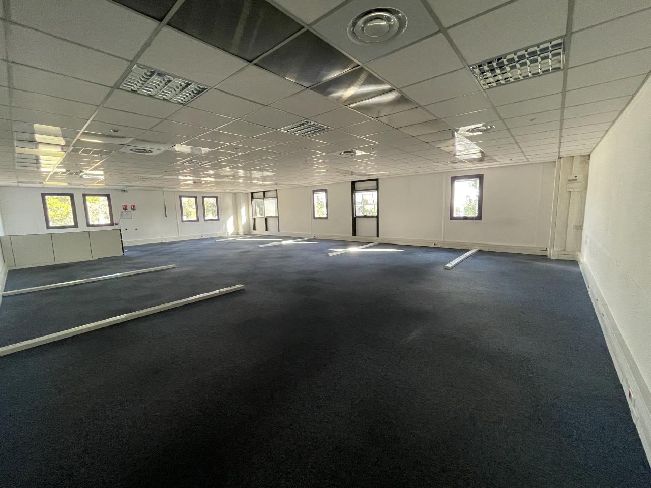 Local d'activité Antibes 481m² Location local d'activité Antibes Alpes-Maritimes OLACT2314472 10
